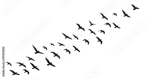 Vector illustration of a black bird silhouette flying against a white background, creating a dynamic and stylized pattern, an icon design with a minimalist aesthetic that conveys freedom