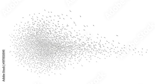 A flock of birds forms a dynamic, swirling vector pattern against a clean white background, presented as a conceptual illustration with a minimalist style and conveys a sense of freedom
