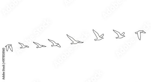 Stylized vector illustration of a bird flying, forming a simple sequential pattern against a clean white background, presented as a minimalist icon and design with a modern, business-like