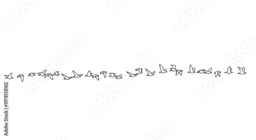 A vector illustration shows a pattern of black bird silhouettes in flight, set against a clean white background, conveying a sense of freedom and movement with a minimalist and graphic