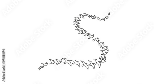 A flock of silhouette birds in flight form a winding pattern, depicted in a simple vector illustration with clean lines against a stark white background, conveying a sense of freedom