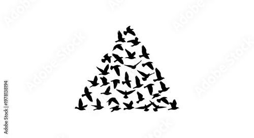 Vector illustration of a stylized black silhouette of birds flying in a triangular formation, creating a pattern against a clean white background, conveying a sense of freedom and movement