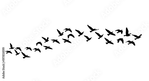 Vector illustration of a flock of birds flying in black silhouette against a clean white background, forming a pattern suggesting global business connections and conveying a sense