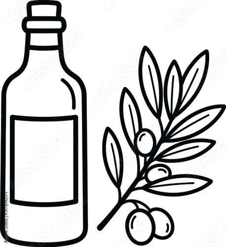 Olive oil bottle and mediterranean branch hand drawn sketches