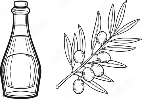 Olive oil bottle and mediterranean branch hand drawn sketches