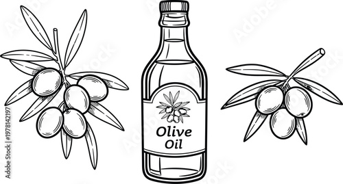 Olive oil bottle and mediterranean branch hand drawn sketches
