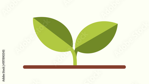 Simple flat illustration of two green leaves sprouting from soil