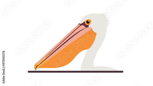 A cartoon pelican with a long orange beak and white body on a white background