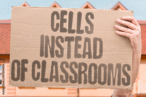 Bild auf Leinwand "Cells Instead Of Classrooms" more people from disadvantaged backgrounds than comparable investments in education would produce