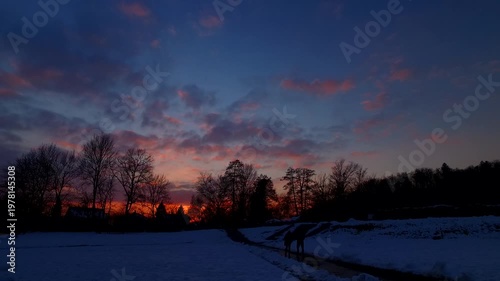Silhouettes of trees and houses in a town at night, by the end of the day in bold sunset sky.