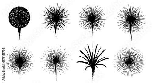Dandelion clock set with black silhouettes and spiky textures on white background featuring flower, weed, seeds with illustrations and vector