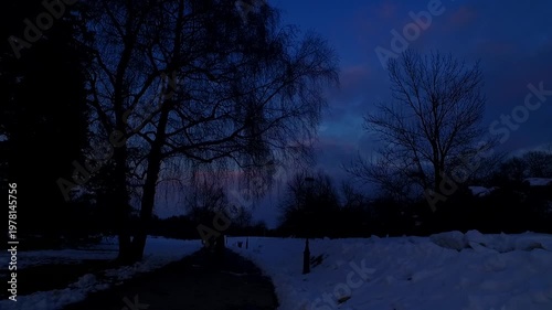 Silhouettes of trees and houses in a town at night, by the end of the day in bold sunset sky.