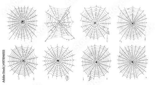 Tableau sur toile Spider webs set with intricate black line designs and dew drops featuring web, s