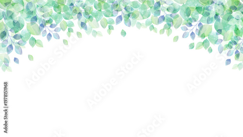透明感のある水彩風　新緑のフレームイメージ