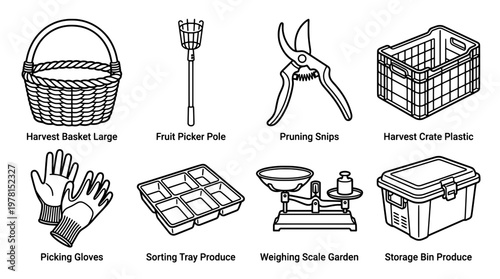 Garden tools collection illustrated line art of harvest storage and sorting