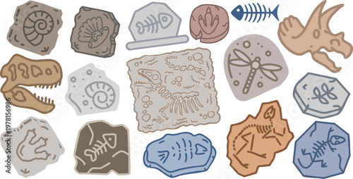 Colorful archaeological fossil collection vector set. Cute cartoon dinosaur bones, ammonite, fish and insect fossils on stone rocks, perfect for education and kids designs.