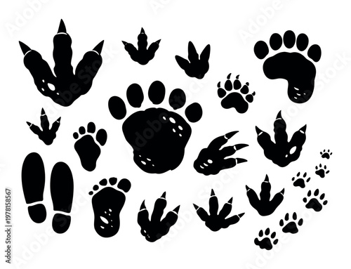 Assortment of animal, human, and dinosaur footprints, featuring a range of paw prints, claw imprints, and shoe soles