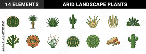 Desert Cactus Botanical Graphics Sheet