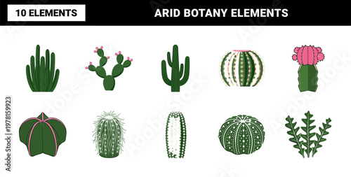 Cactus and Succulent Botany Vector Set