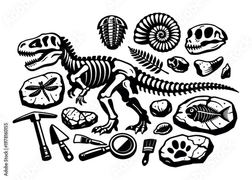 Paleontology theme showing a collection of ancient dinosaur skeleton, various fossils, and tools for archaeological excavation