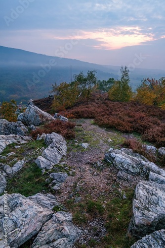 Atmospheric misty sunrise landscape with rocky terrain, shrubs and distant forest. Soft pastel sky and fog create calm and peaceful nature scene perfect for relaxation and travel themes.
