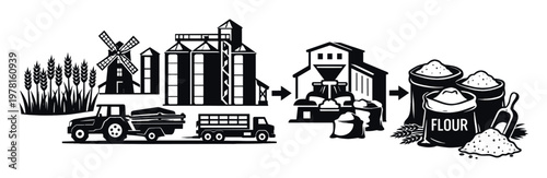 Wheat grain transforming into flour, illustrating farming, transportation, storage, milling process, and final product
