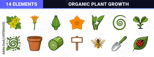 Vegetable Garden Flower Vector Elements