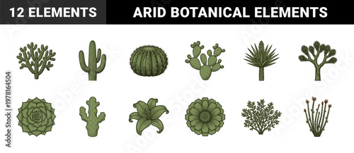 Desert Botanical Graphics Asset Sheet
