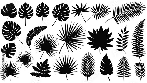 Diverse set of solid black tropical and exotic leaf silhouettes including palm, monstera, and fern varieties.