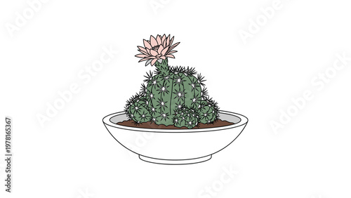 Spiky green cactus with a large pink flower blooming from the top planted in a white decorative ceramic bowl.
