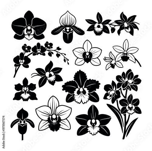 Orchid flowers presented as an elegant black and white silhouette collection, perfect for botanical themes and floral design elements