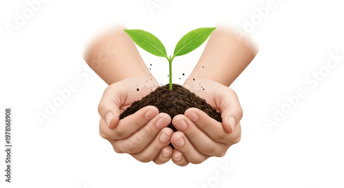 A vibrant vector illustration shows hands gently holding a small plant growing from soil against a clean white background, symbolizing environmental awareness and business celebration
