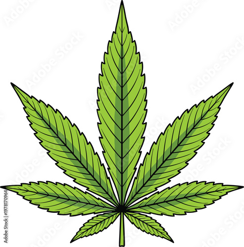 Detailed green cannabis leaf isolated on background, medical marijuana symbol, herbal plant illustration for healthcare, nature and alternative medicine design