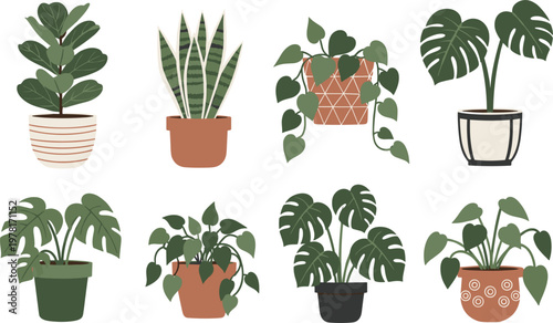 Collection of Indoor Plants in Decorative Pots for Home and Office Decor, Including Monstera and Snake Plants