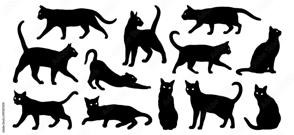 Obraz premium Black silhouette illustrations of cats isolated on a transparent background