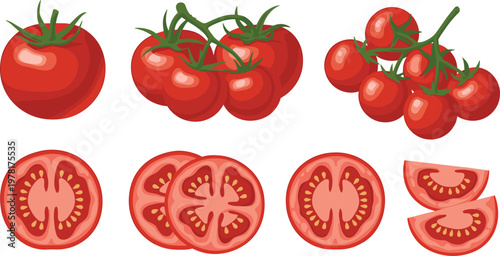 Set of fresh red tomatoes whole, sliced and on vine, organic vegetable collection isolated vector illustration for healthy food design