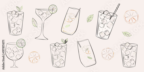 Sketch of various glasses filled with ice citrus and refreshing drinks