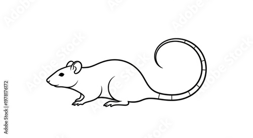 Simple line drawing of a rat a minimalist vector illustration for rodent control or pet concepts isolated on a white background