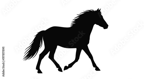 A majestic horse standing in a dynamic pose black silhouette