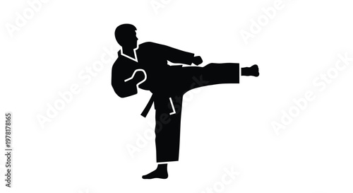 Karate practitioner executing a kick in a dynamic pose silhouette