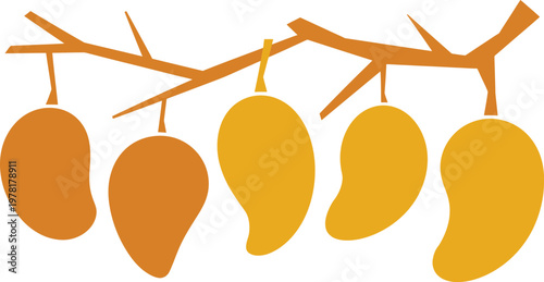 A group of five mangoes hanging from a tree branch