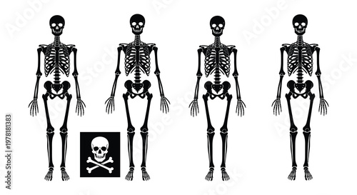 Four stylized skeletons stand in a row with a skull and crossbones