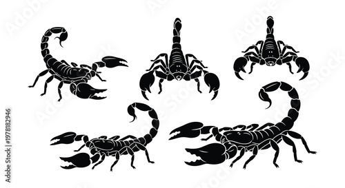 Four black scorpions depicted in various curled and poised positions