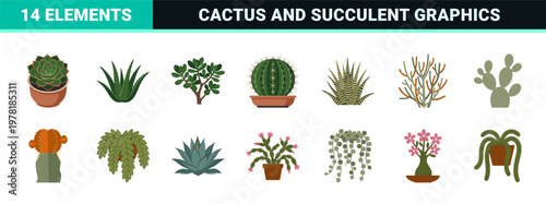 Potted Cacti and Succulent Asset Sheet