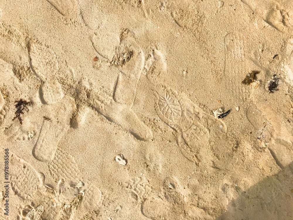 Fototapeta premium Footprints mark the sandy beach, scattered and worn. Sunlight glints softly across the textured surface. Each step tells a quiet story of passage and pause