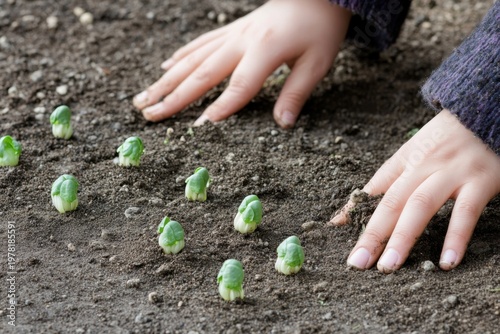 Minimalistic gardening scene with hands planting seedlings in soil