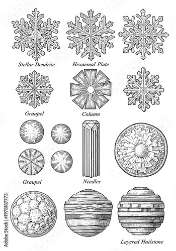 A Detailed Illustration of Various Snowflakes and Hailstones Structures