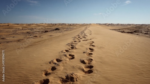 Footprints etched in the warm sand reveal a remarkable journey across the vast desert landscape, all under a brilliant, clear sky during the daylight hours