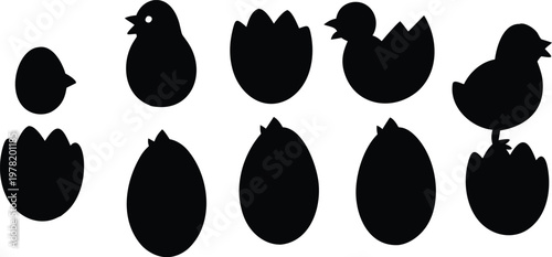 Set of black silhouettes showing chick hatching stages from egg on transparent background.