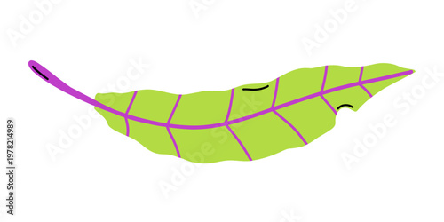 Vector flat illustration of long green chard salad leaf with bright purple stem and veins. Mangold salad leaf for healthy food infographic, organic product packaging, fresh vegetable branding design.